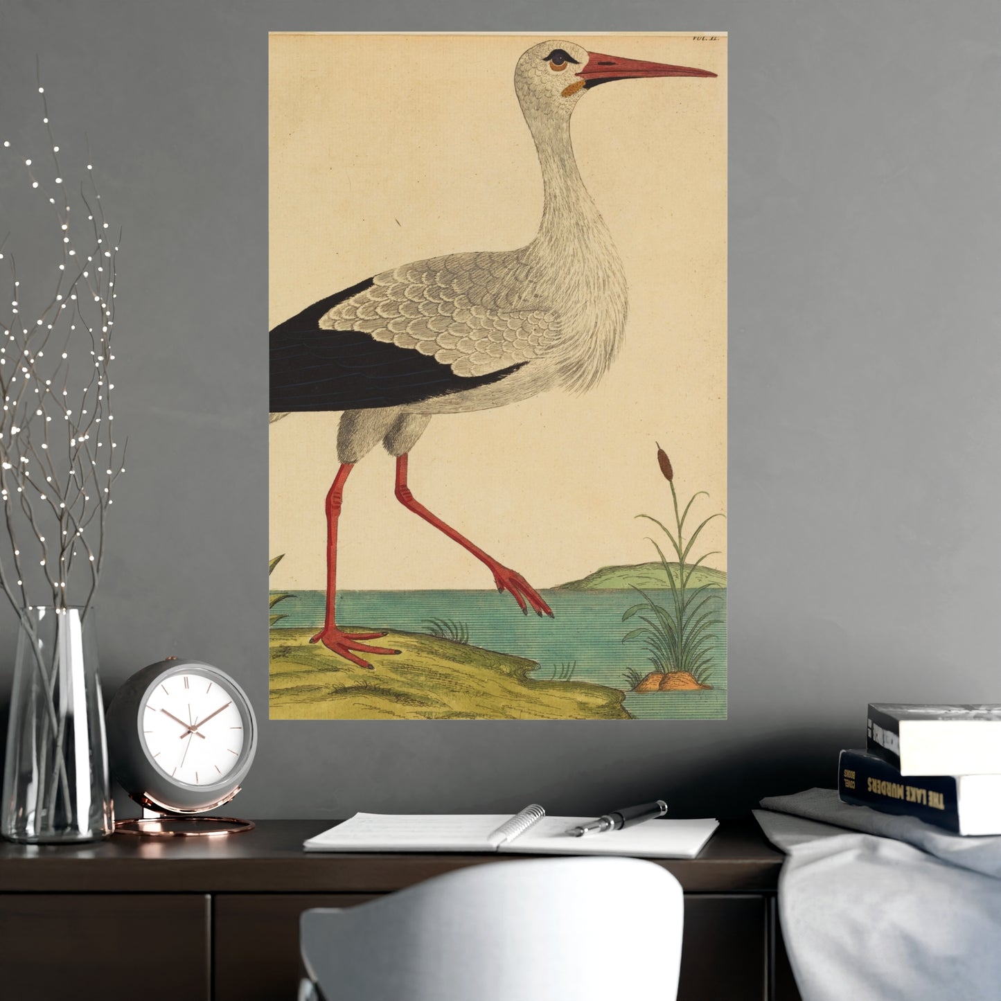 White Stork - Vintage Natural History Fine Art Poster