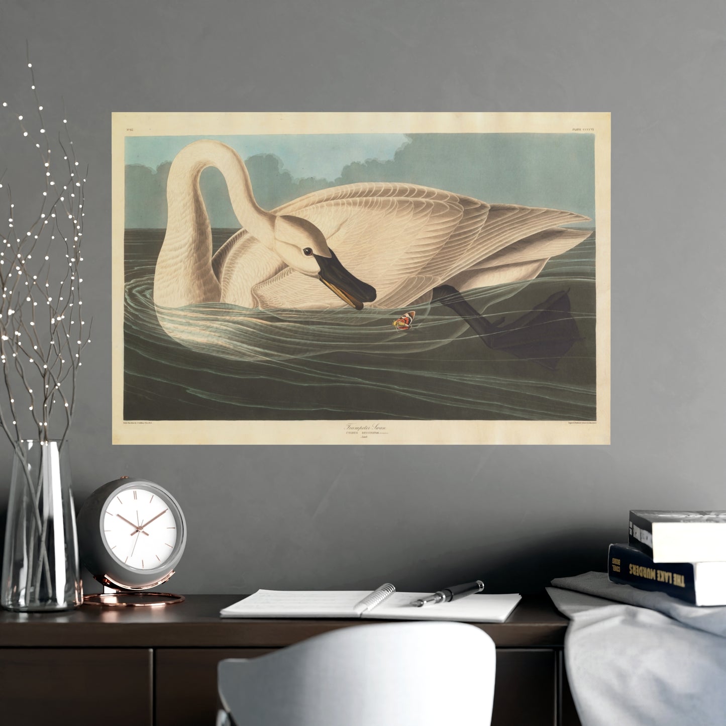 Trumpeter Swan - Audubon Fine Art Poster