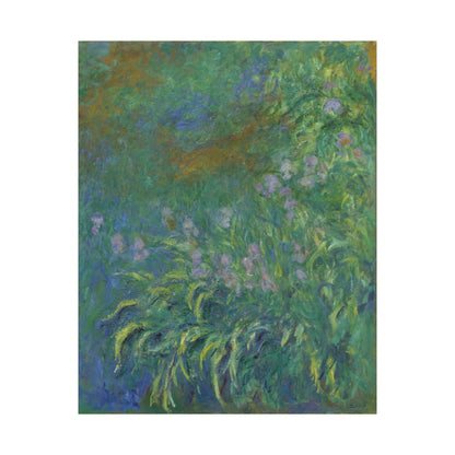 Claude Monet - Irises Botanical Fine Art Print