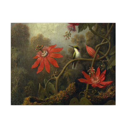 Hummingbird in Lush Tropical Landscape - Museum Collection - Fine Art Poster