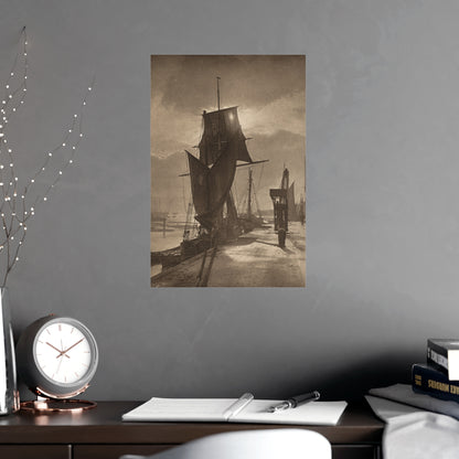 Sunshine and Shadow - Forest Interior Fine Art Poster