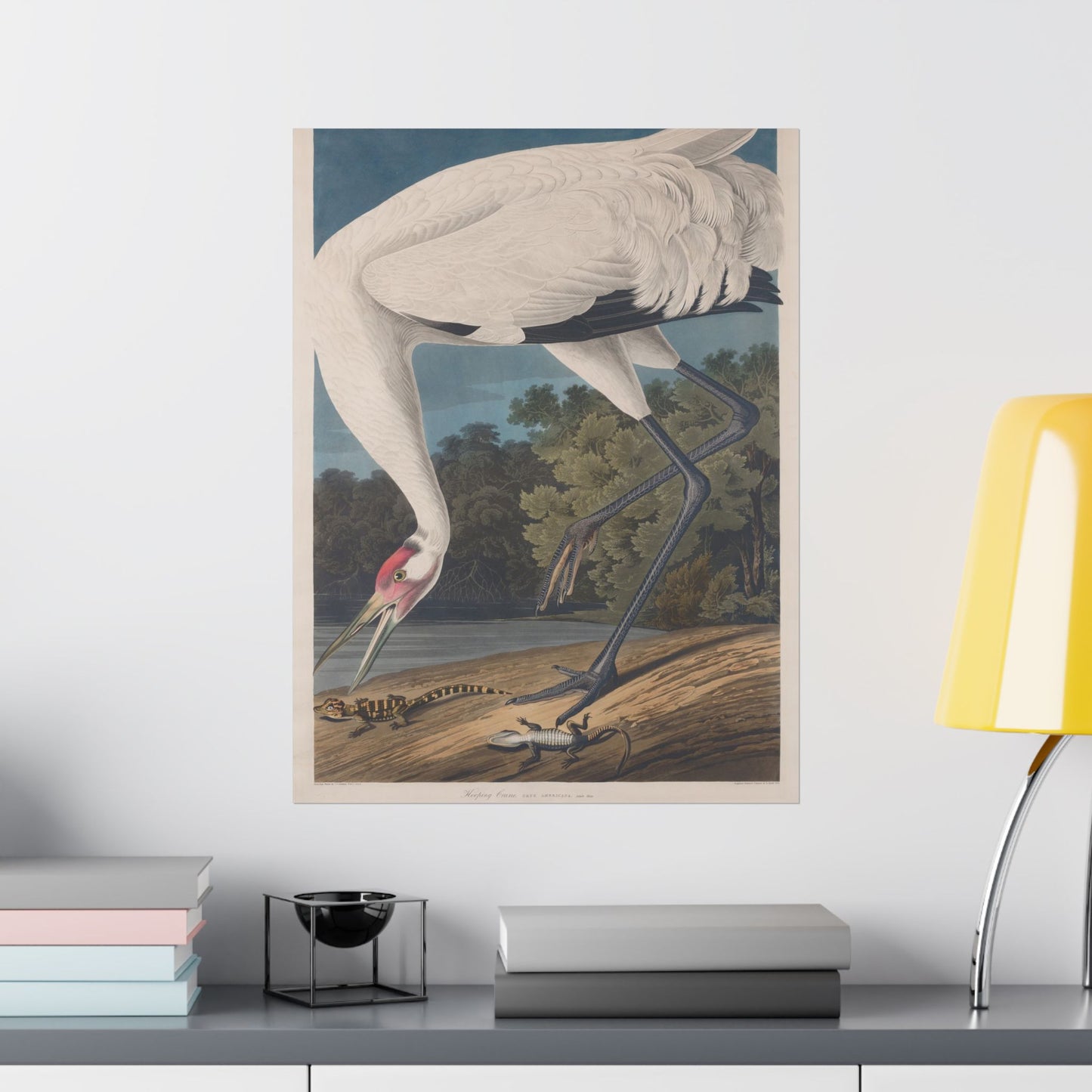 Crane in the Glades - Vintage Fine Art Print - Art Print - Poster for Nature Lovers & Birdwatchers