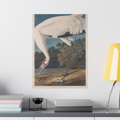Crane in the Glades - Vintage Fine Art Print - Art Print - Poster for Nature Lovers & Birdwatchers