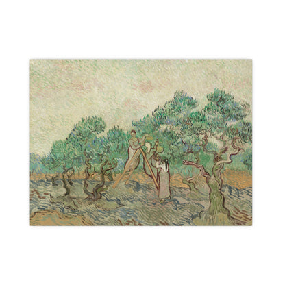 The Olive Orchard - Van Gogh Fine Art Poster