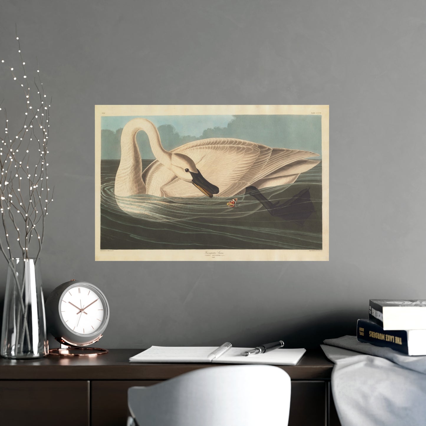 Trumpeter Swan - Audubon Fine Art Poster