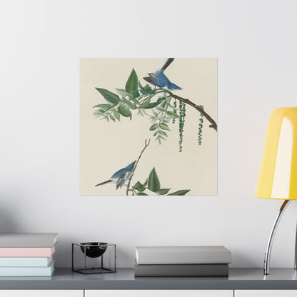 Vintage Bluebirds Botanical Print - Nature-Inspired Art - Matte Vertical Poster with Bluebirds