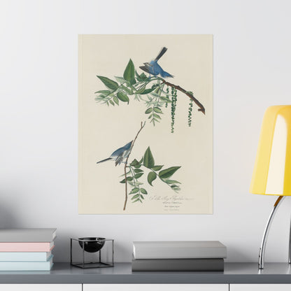 Vintage Bluebirds Botanical Print - Nature-Inspired Art - Matte Vertical Poster with Bluebirds