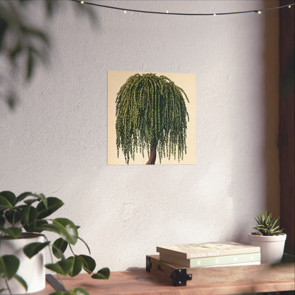 Weeping Willow Vintage Botanical Art Print - Matte Poster - Vintage Botanical Wall Art