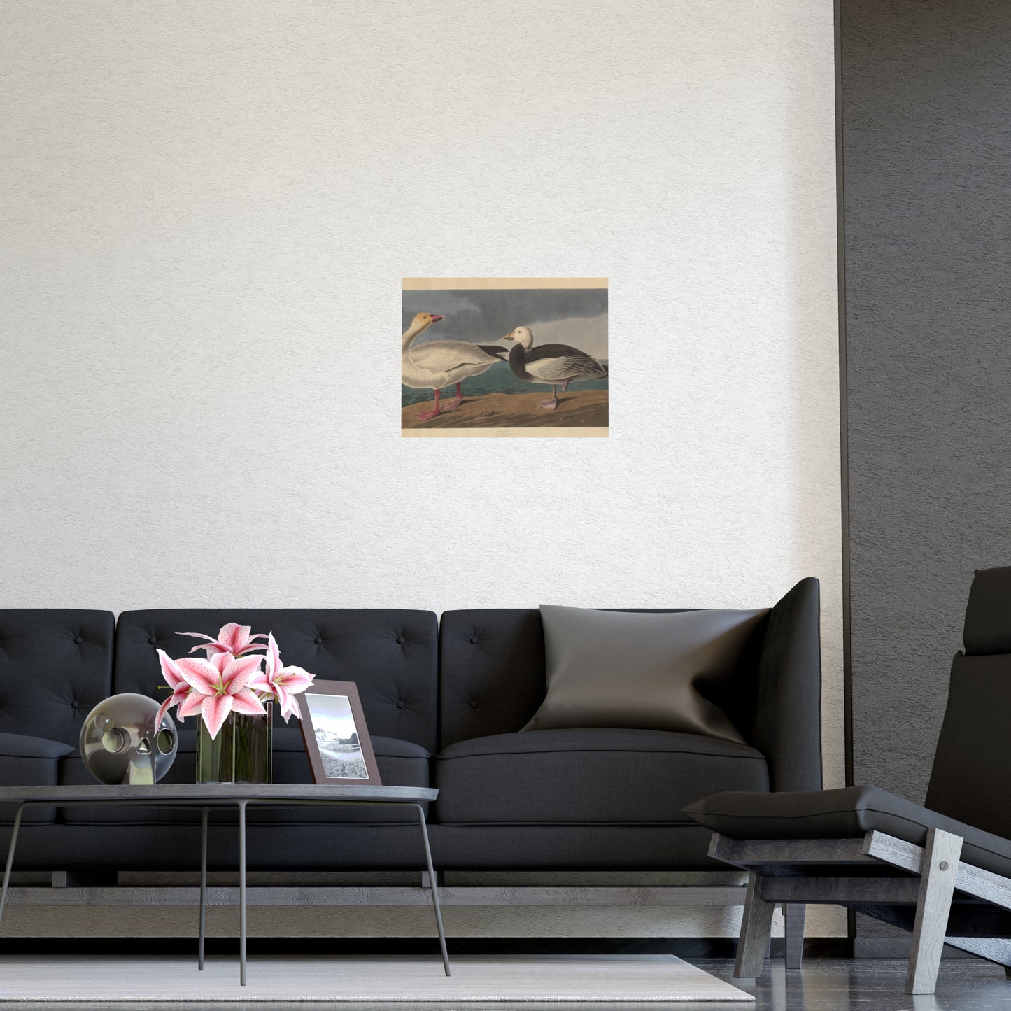 Snow Goose - Audubon Fine Art Poster