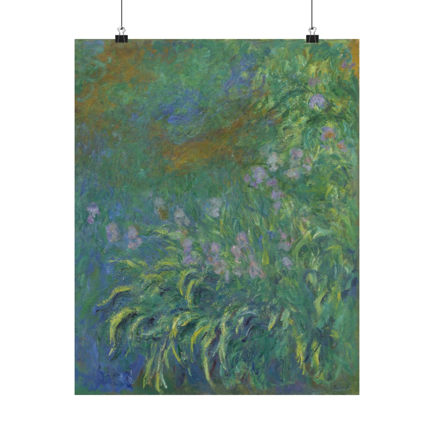 Claude Monet - Irises Botanical Fine Art Print