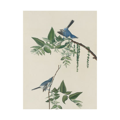 Vintage Bluebirds Botanical Print - Nature-Inspired Art - Matte Vertical Poster with Bluebirds
