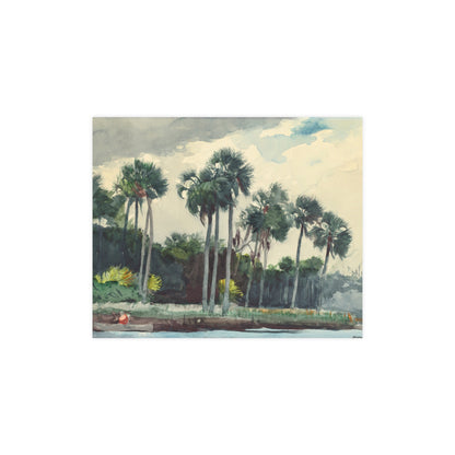 Red Shirt Homosassa Florida - Winslow Homer Fine Art Poster