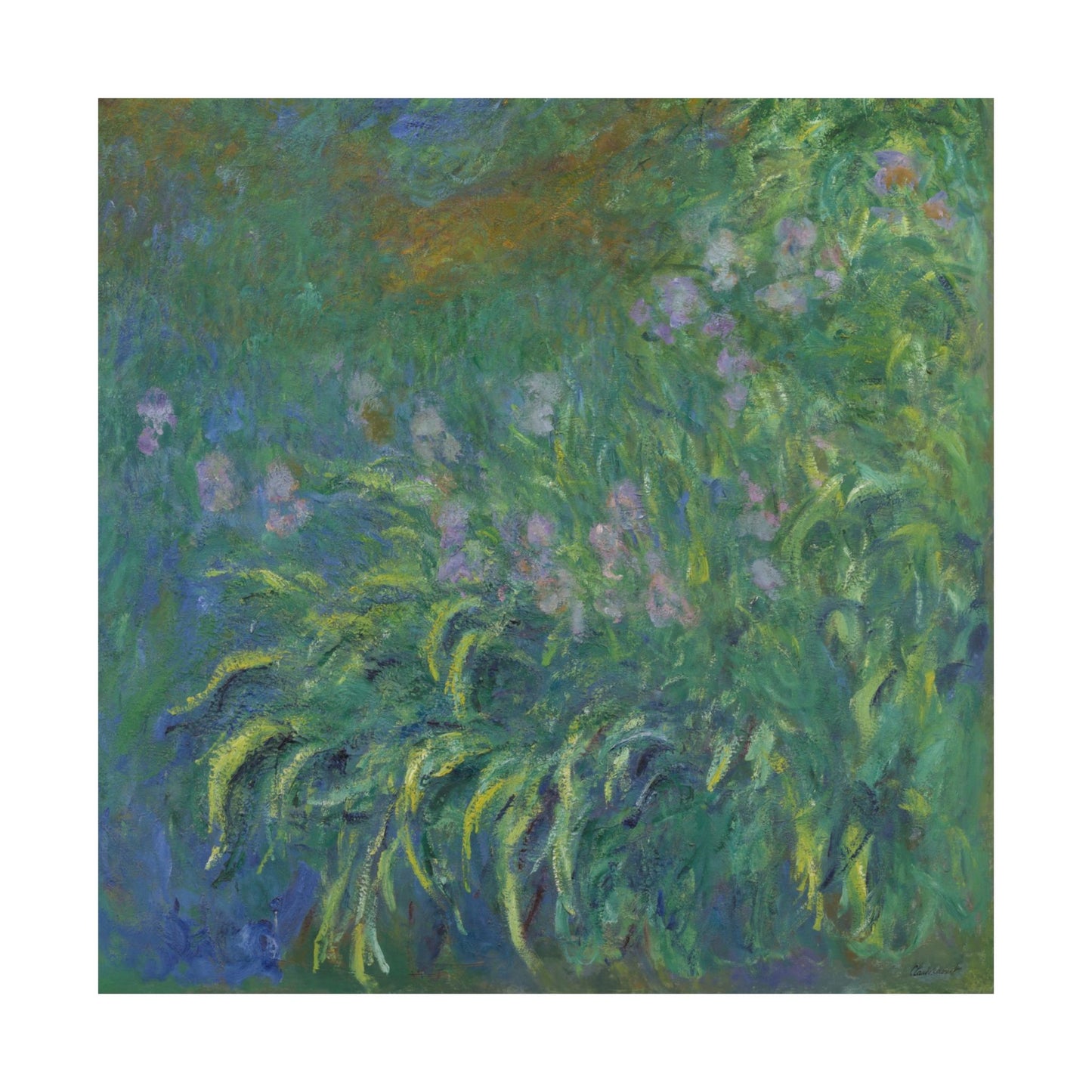 Claude Monet - Irises Botanical Fine Art Print