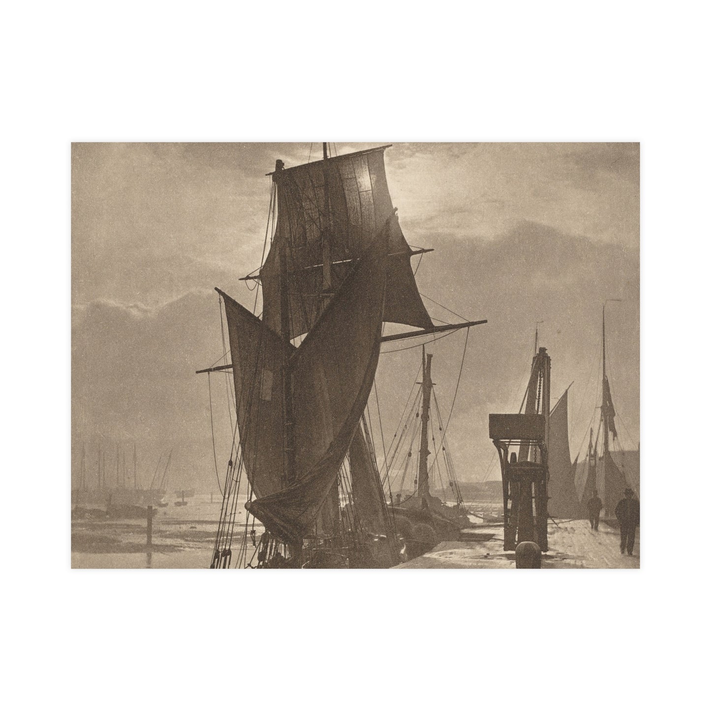Sunshine and Shadow - Forest Interior Fine Art Poster