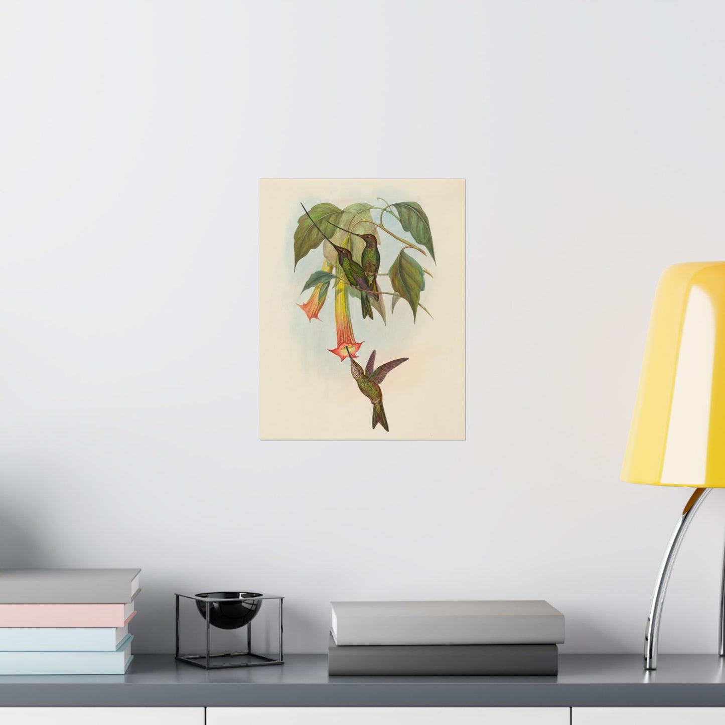 Hummingbird Botanical Art Print - Matte Vertical Poster - Nature Inspired Wall Art - Vintage Bird Watcher Art
