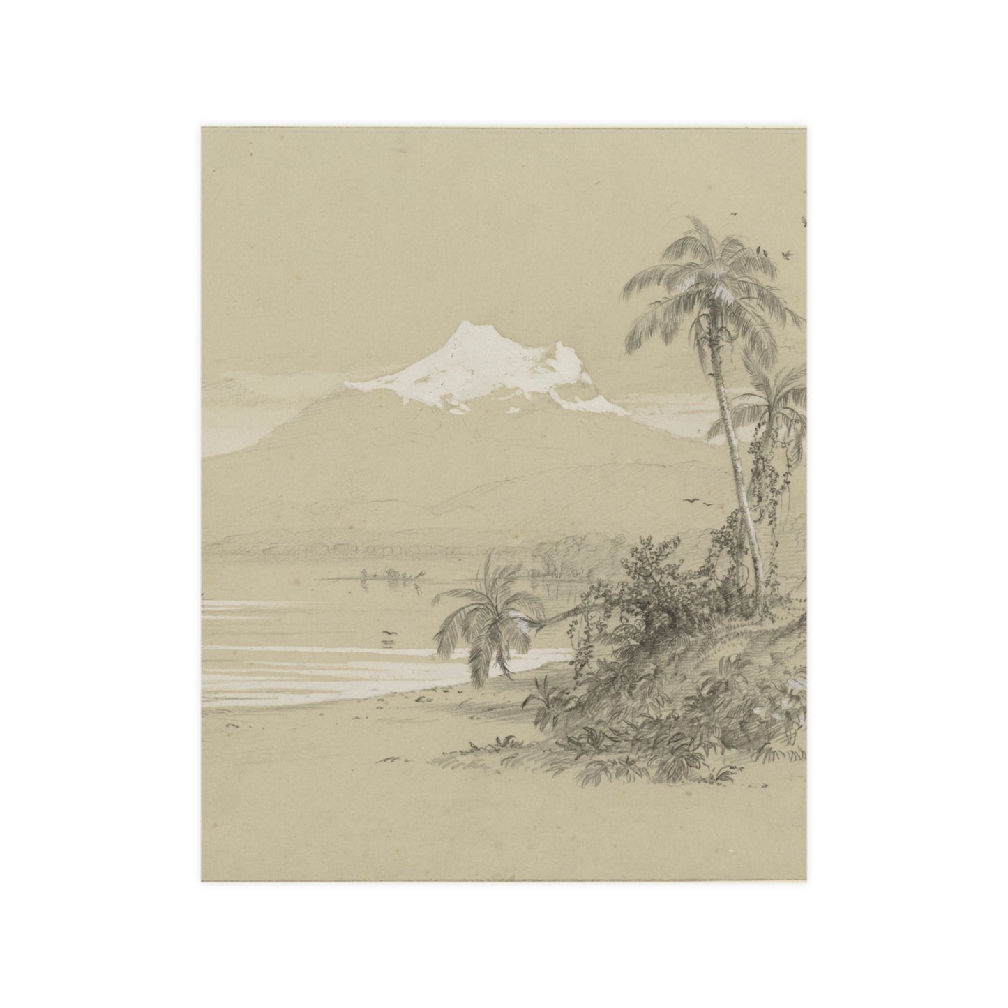 Magdalena River South America - Tropical Landscape Fine Art Poster