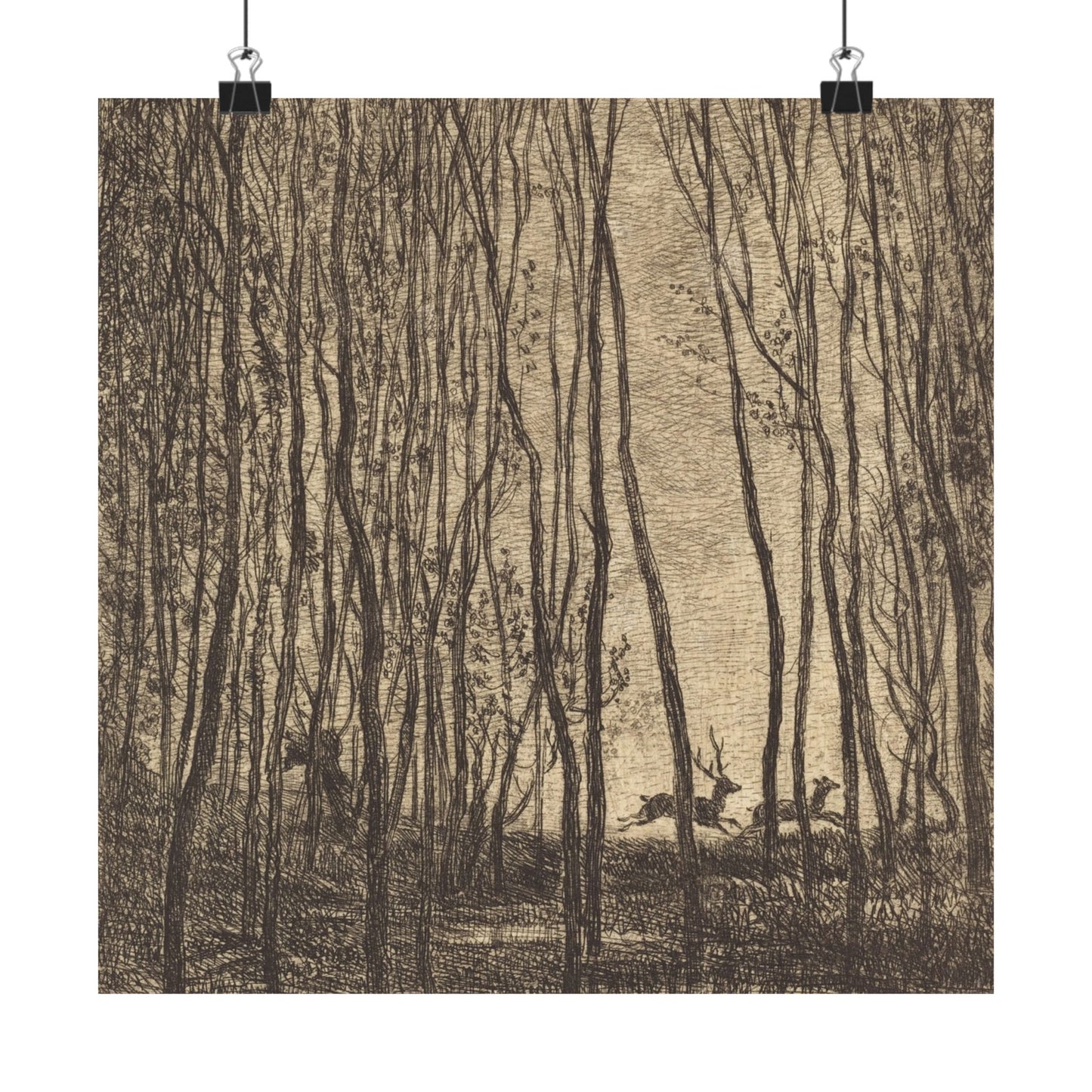 Deer Running Through Woods Nature Fine Art Print