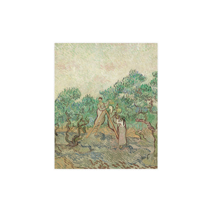 The Olive Orchard - Van Gogh Fine Art Poster