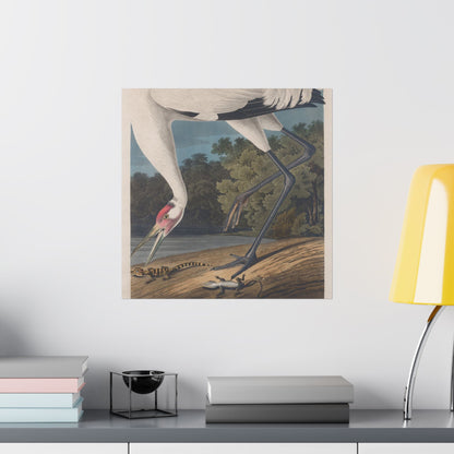 Crane in the Glades - Vintage Fine Art Print - Art Print - Poster for Nature Lovers & Birdwatchers