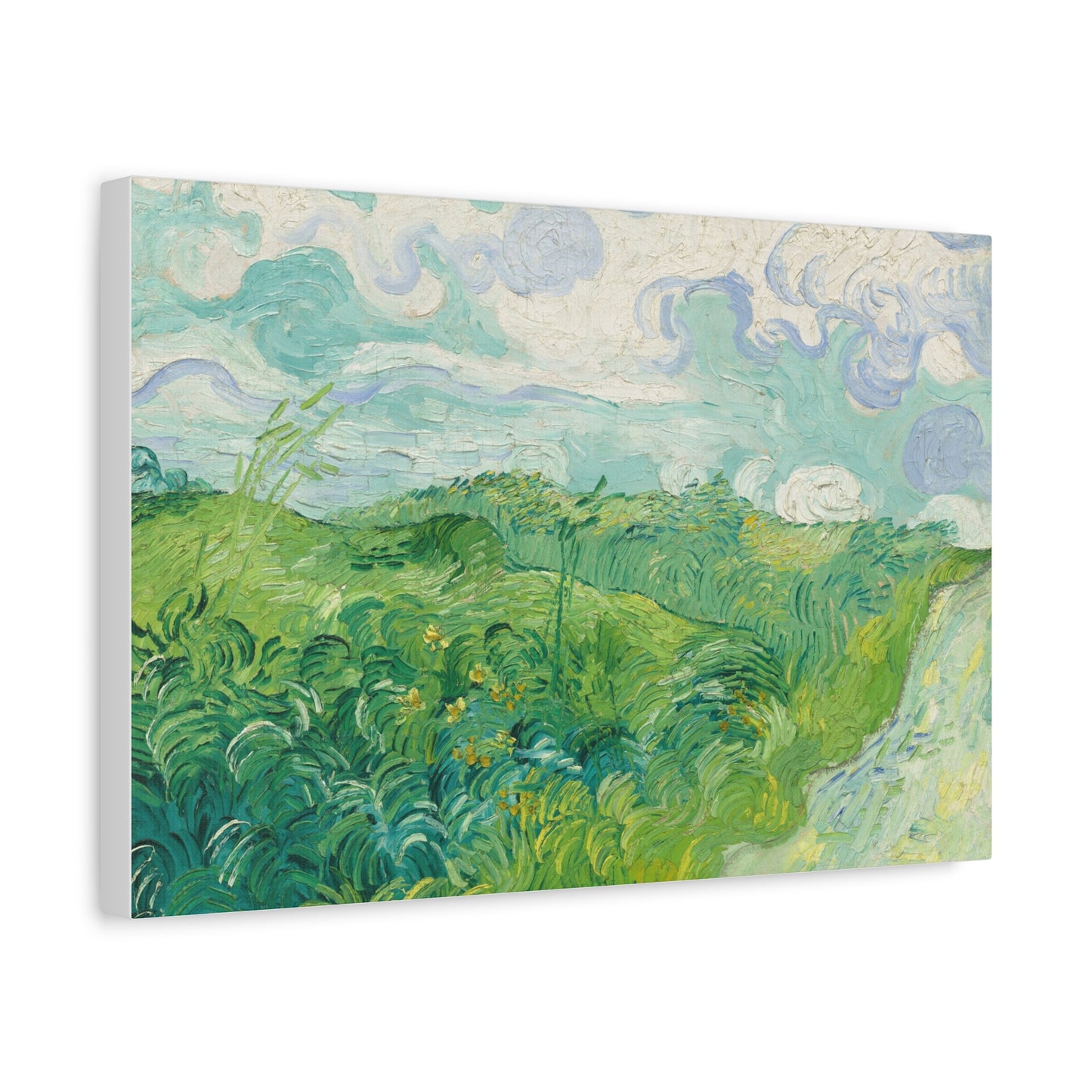 Vincent van Gogh - Green Wheat Fields Fine Art Canvas Print