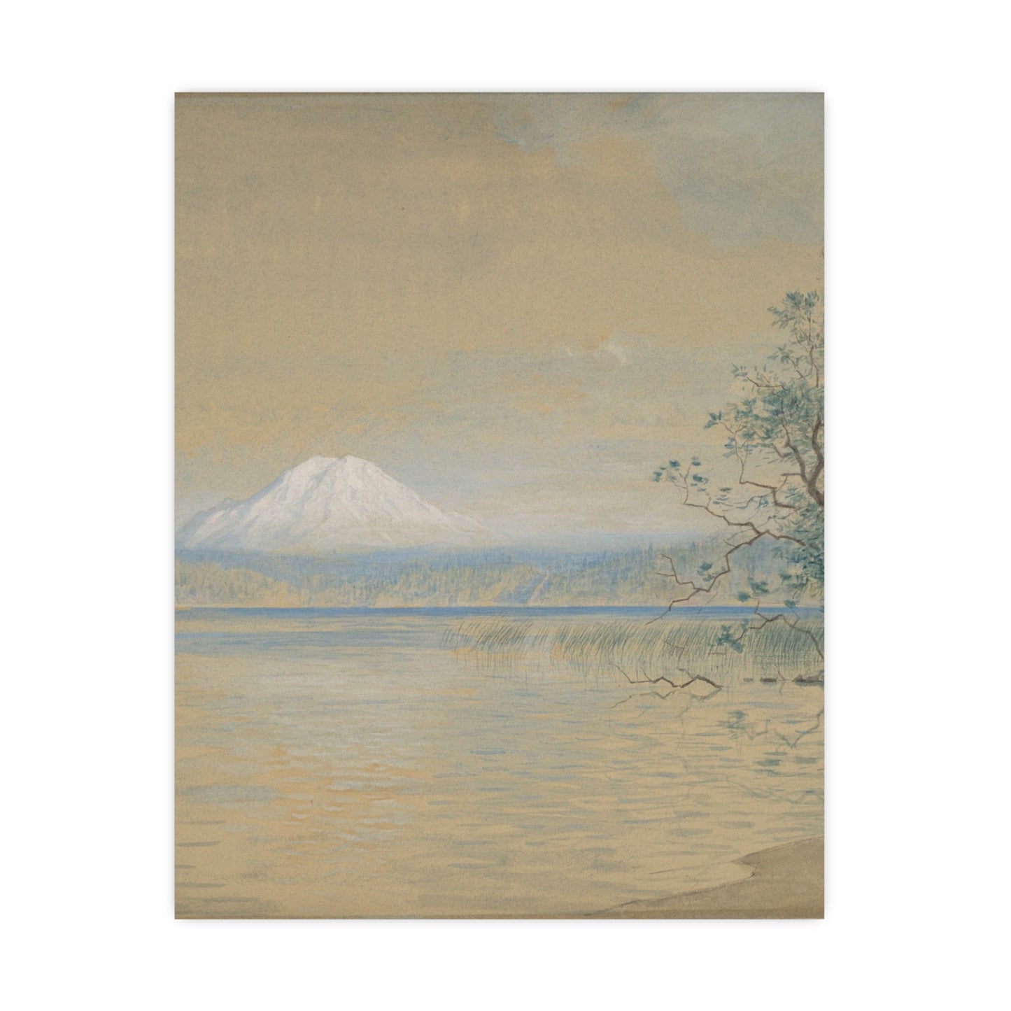 Mount Tacoma - Pacific Northwest Landscape Fine Art Poster