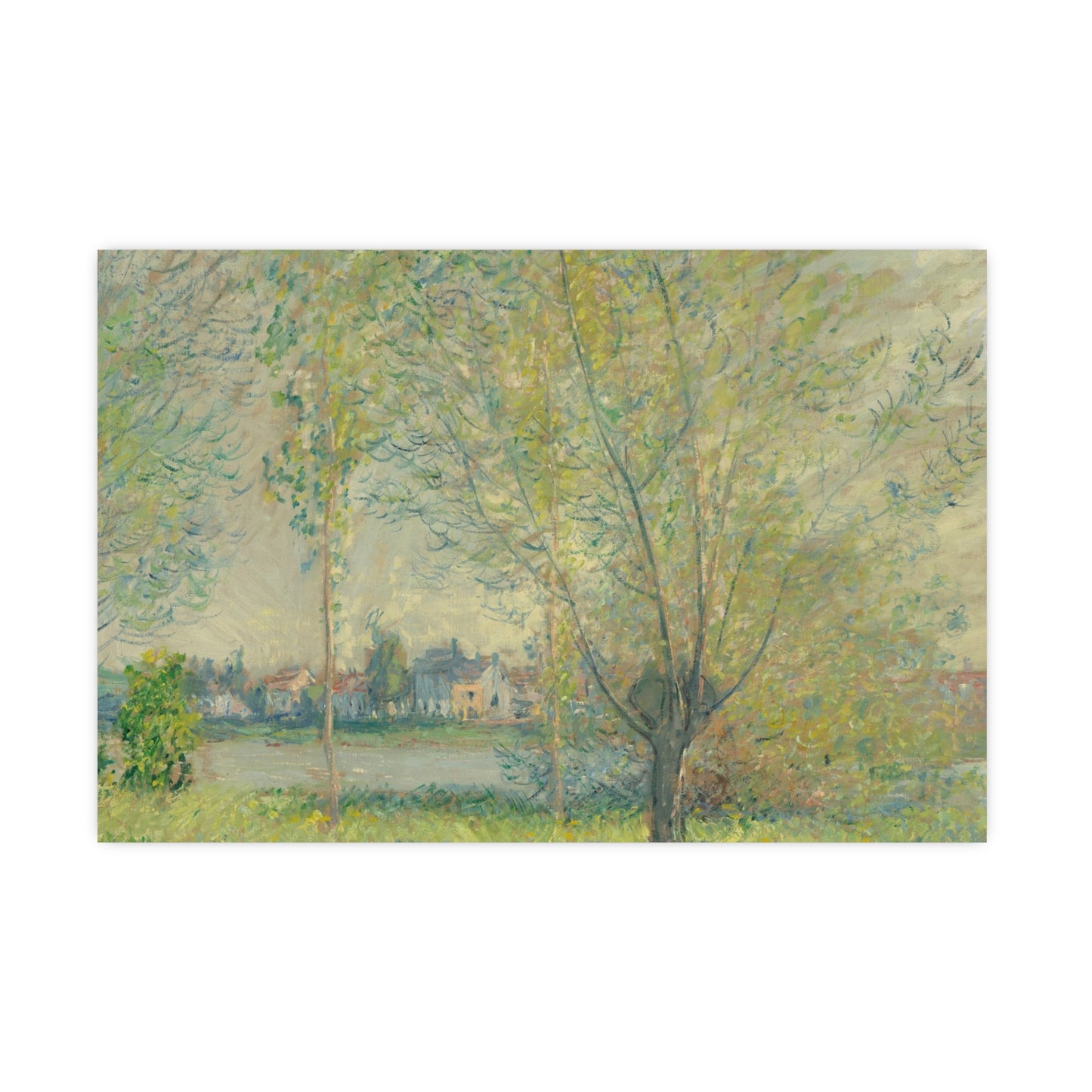 The Willows - Peaceful Landscape Fine Art Poster
