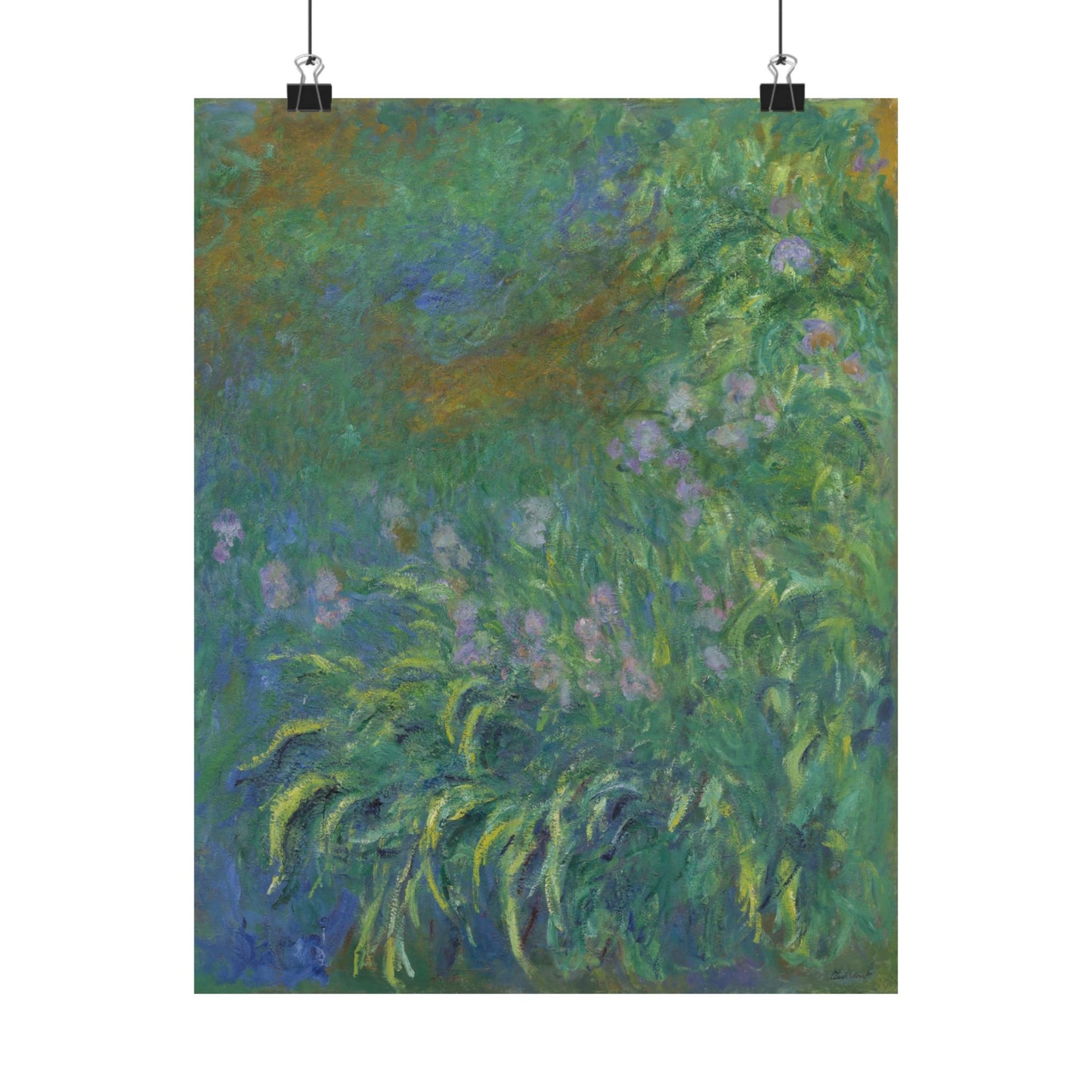 Claude Monet - Irises Botanical Fine Art Print