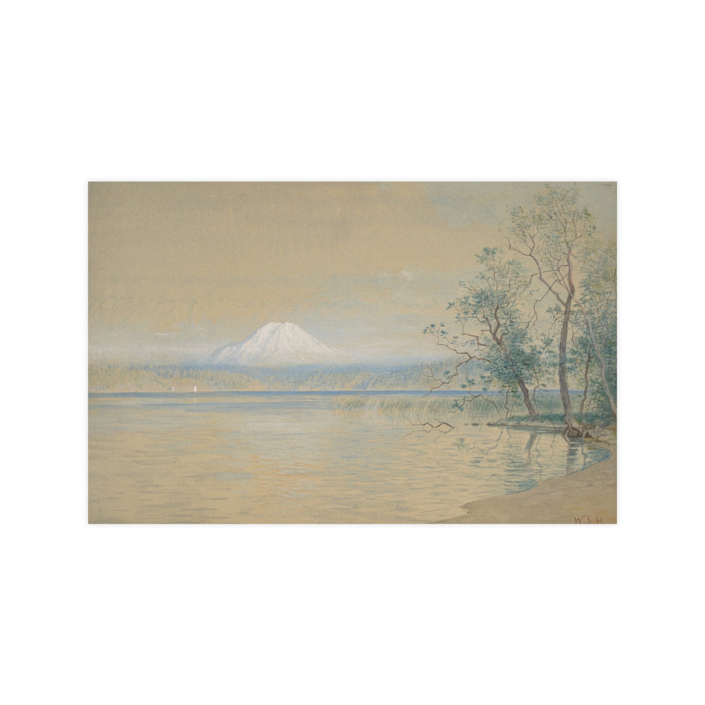 Mount Tacoma - Pacific Northwest Landscape Fine Art Poster