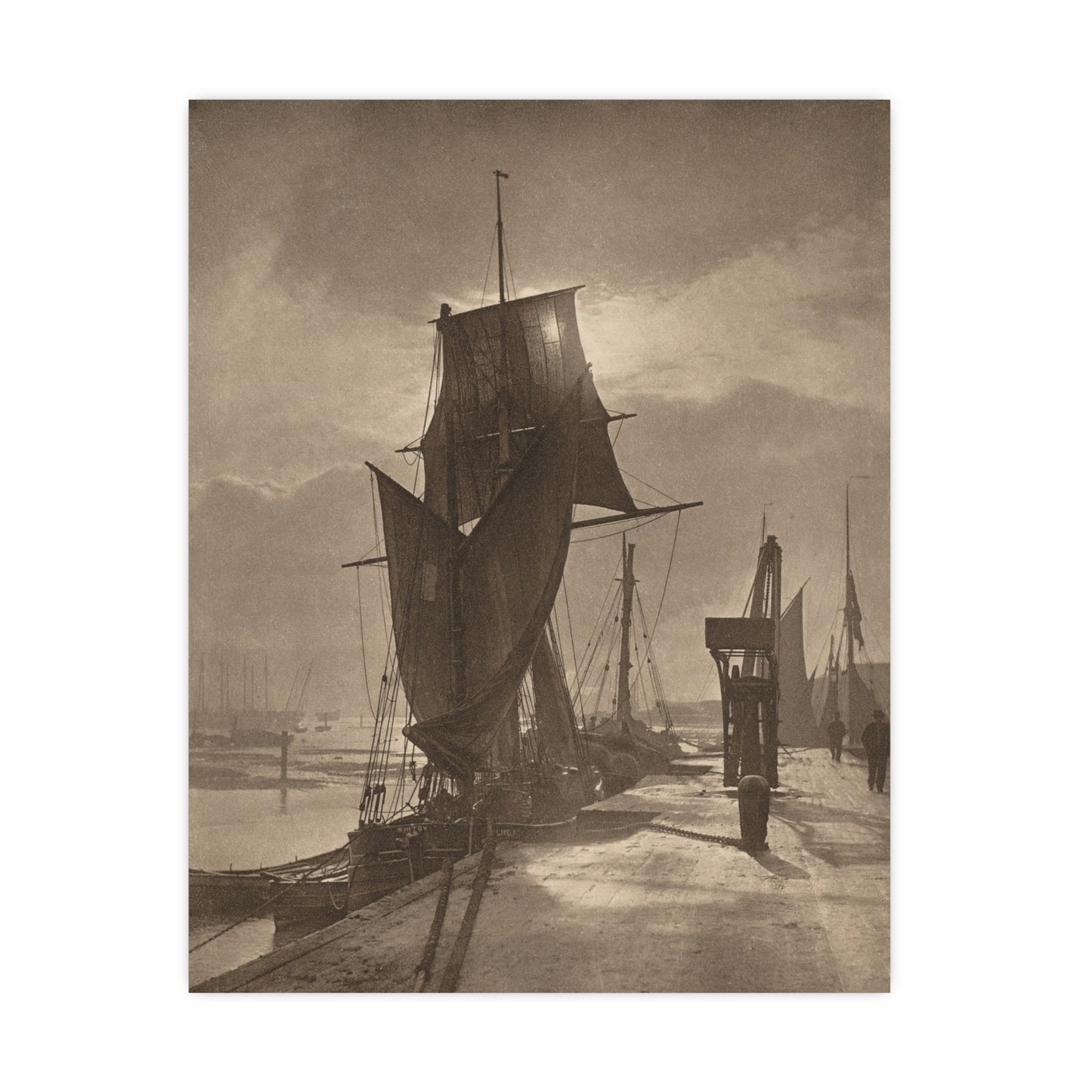 Sunshine and Shadow - Forest Interior Fine Art Poster