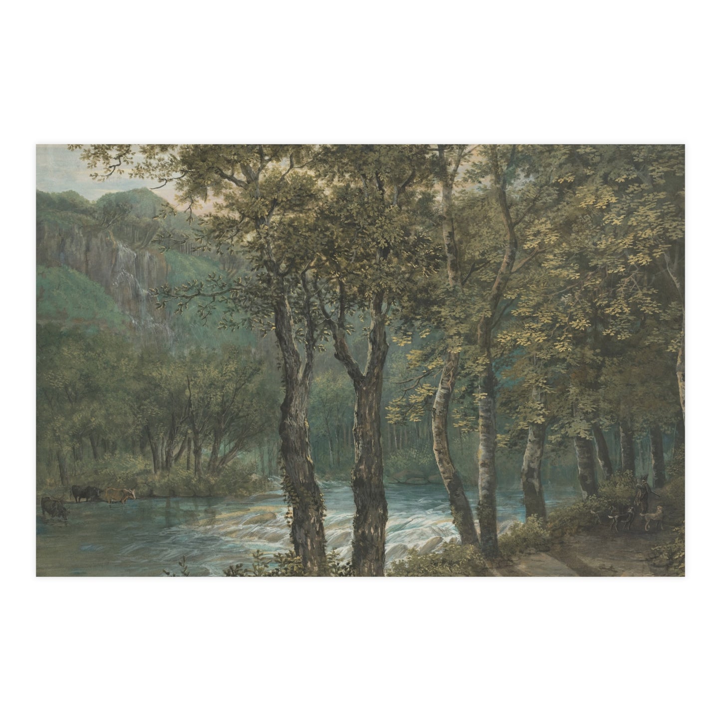 Sunlight Through Trees River Sihl - Forest Landscape Fine Art Poster