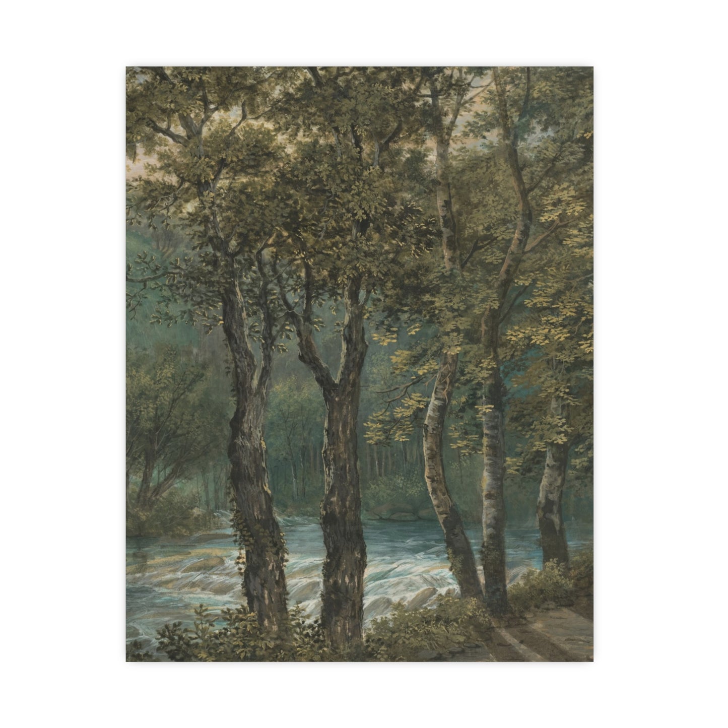 Sunlight Through Trees River Sihl - Forest Landscape Fine Art Poster
