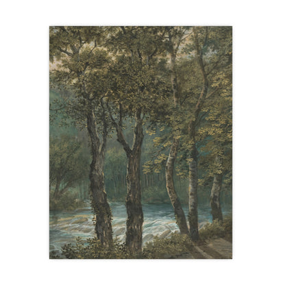 Sunlight Through Trees River Sihl - Forest Landscape Fine Art Poster