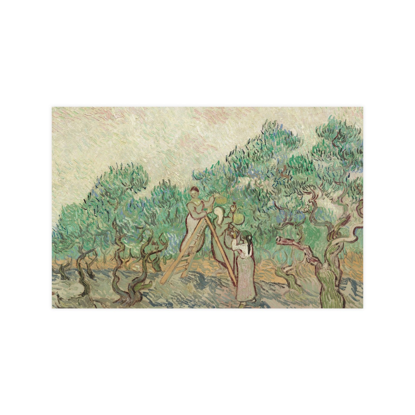 The Olive Orchard - Van Gogh Fine Art Poster
