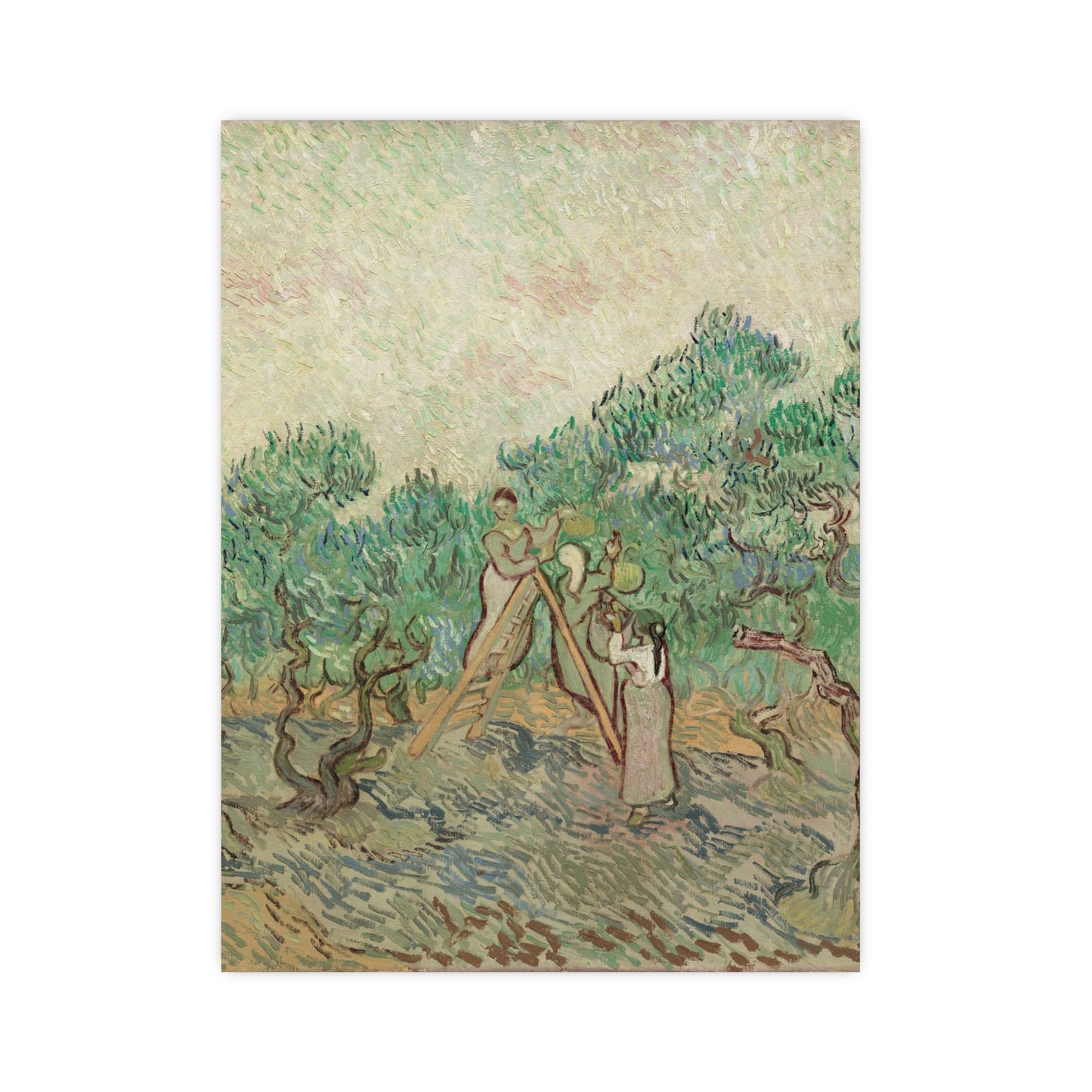 The Olive Orchard - Van Gogh Fine Art Poster