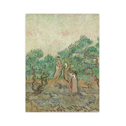 The Olive Orchard - Van Gogh Fine Art Poster