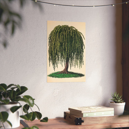 Weeping Willow Vintage Botanical Art Print - Matte Poster - Vintage Botanical Wall Art