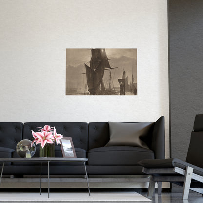 Sunshine and Shadow - Forest Interior Fine Art Poster