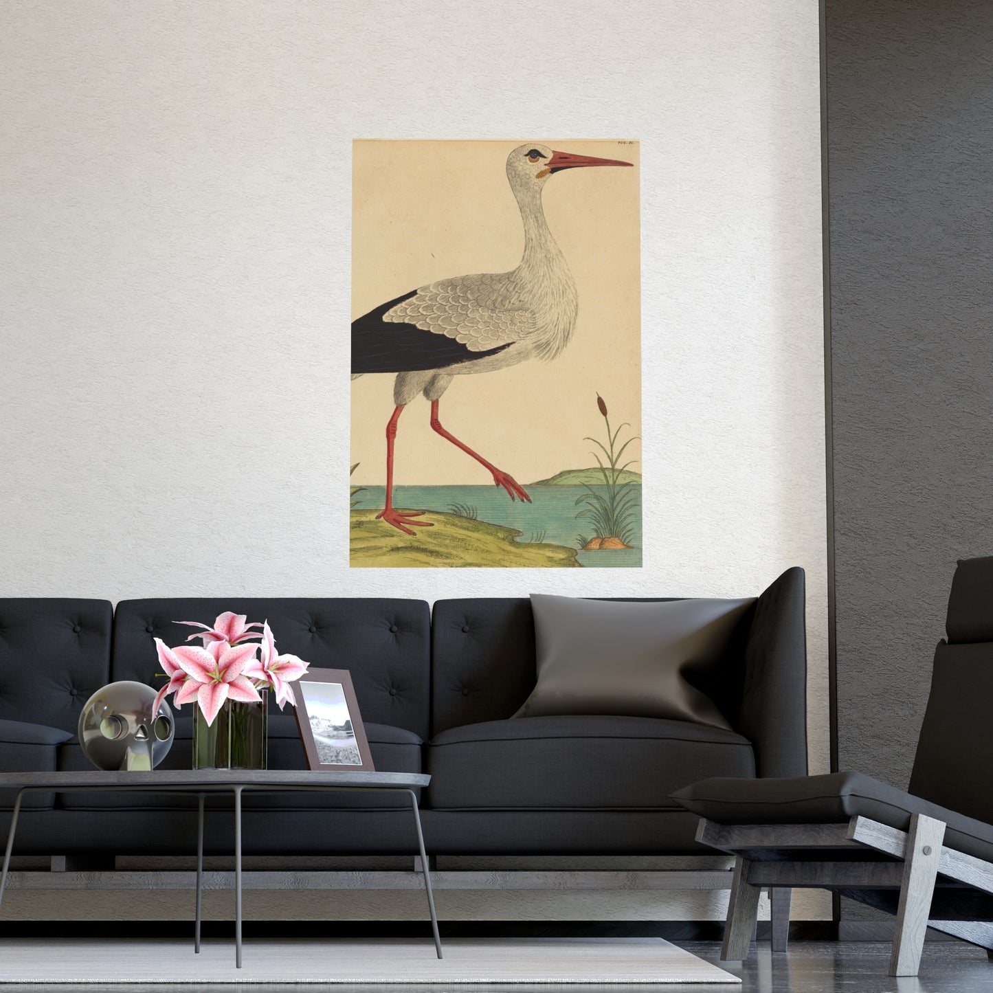 White Stork - Vintage Natural History Fine Art Poster