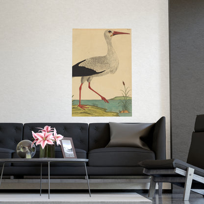 White Stork - Vintage Natural History Fine Art Poster