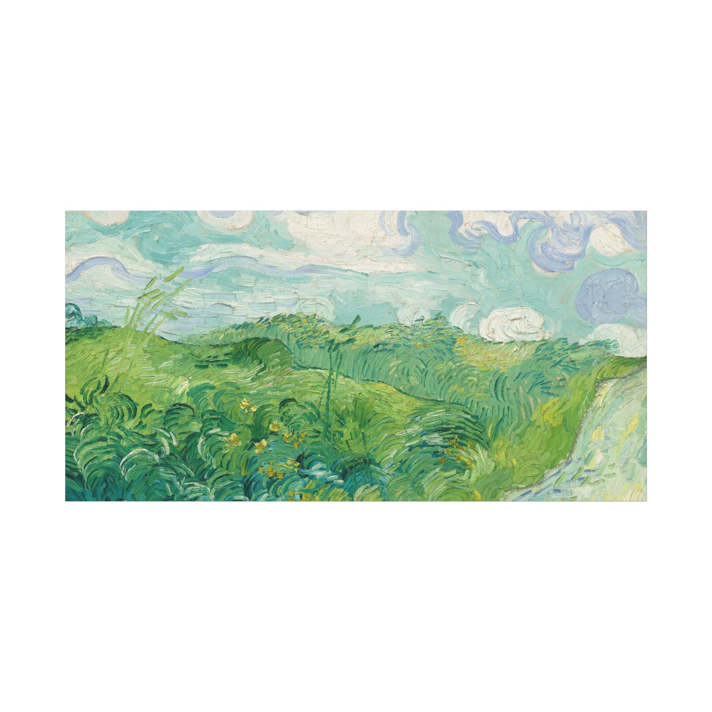 Vincent van Gogh - Green Wheat Fields Fine Art Canvas Print