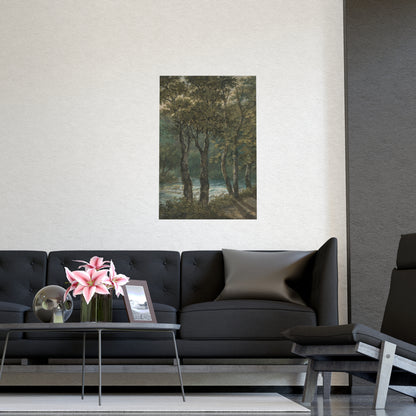 Sunlight Through Trees River Sihl - Forest Landscape Fine Art Poster