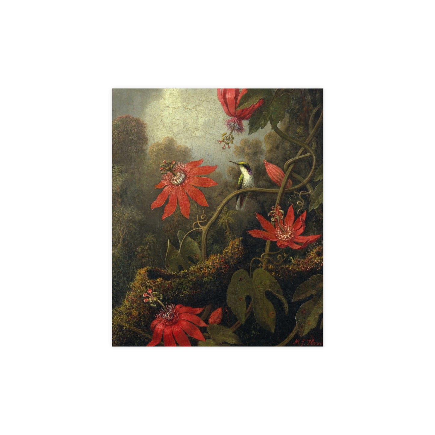 Hummingbird in Lush Tropical Landscape - Museum Collection - Fine Art Poster