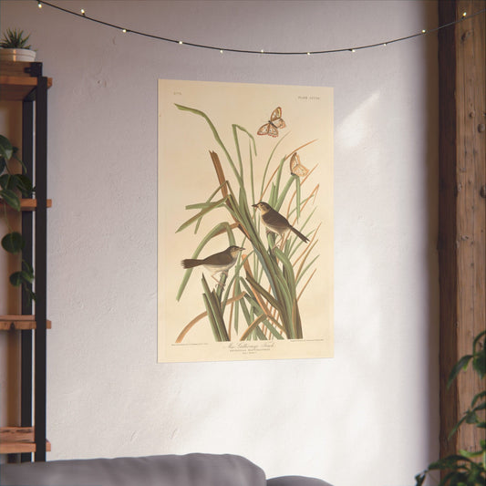 Finches & Butterflies Vintage Botanical Fine Art Print