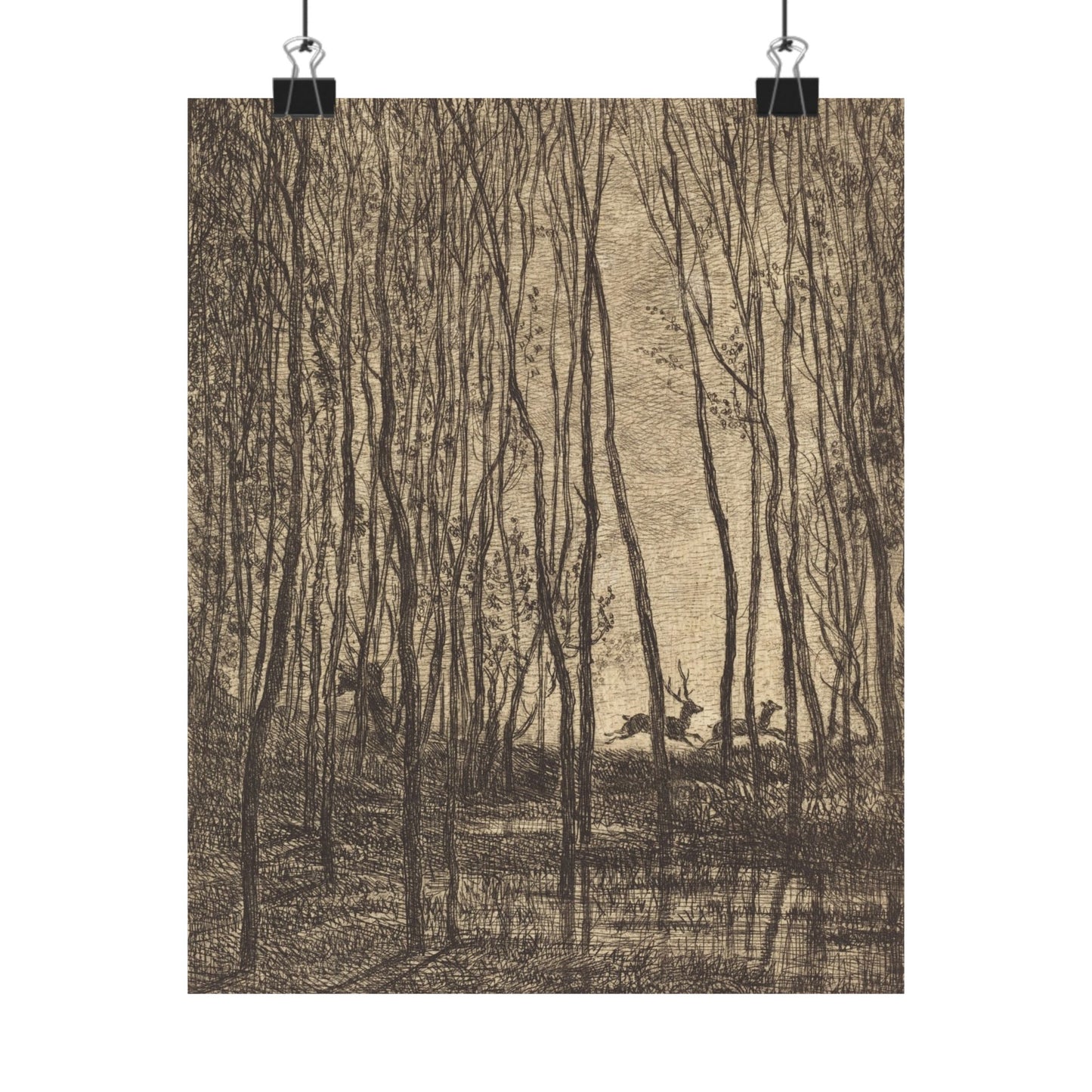 Deer Running Through Woods Nature Fine Art Print