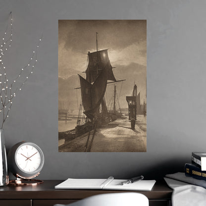 Sunshine and Shadow - Forest Interior Fine Art Poster