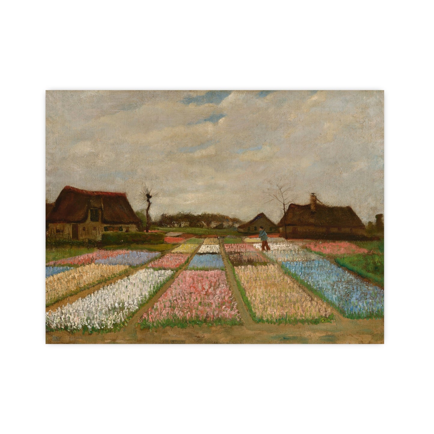Flower Beds in Holland - Van Gogh Fine Art Poster