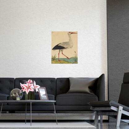 White Stork - Vintage Natural History Fine Art Poster