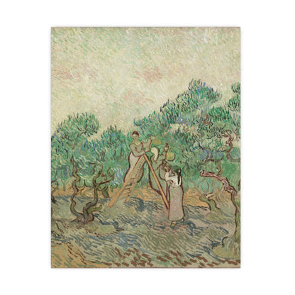 The Olive Orchard - Van Gogh Fine Art Poster