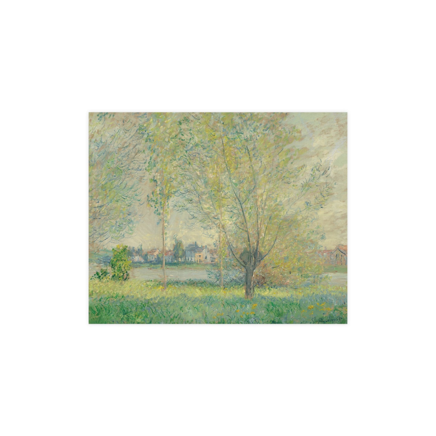 The Willows - Peaceful Landscape Fine Art Poster