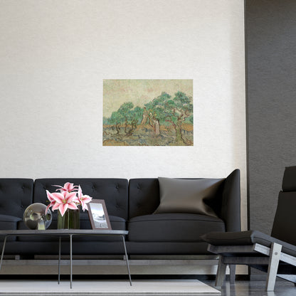 The Olive Orchard - Van Gogh Fine Art Poster